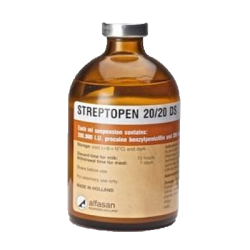 STREPTOPEN 50ml