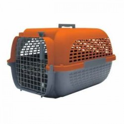 KENNEL
